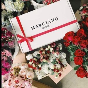 Meet your Posher, Sophia